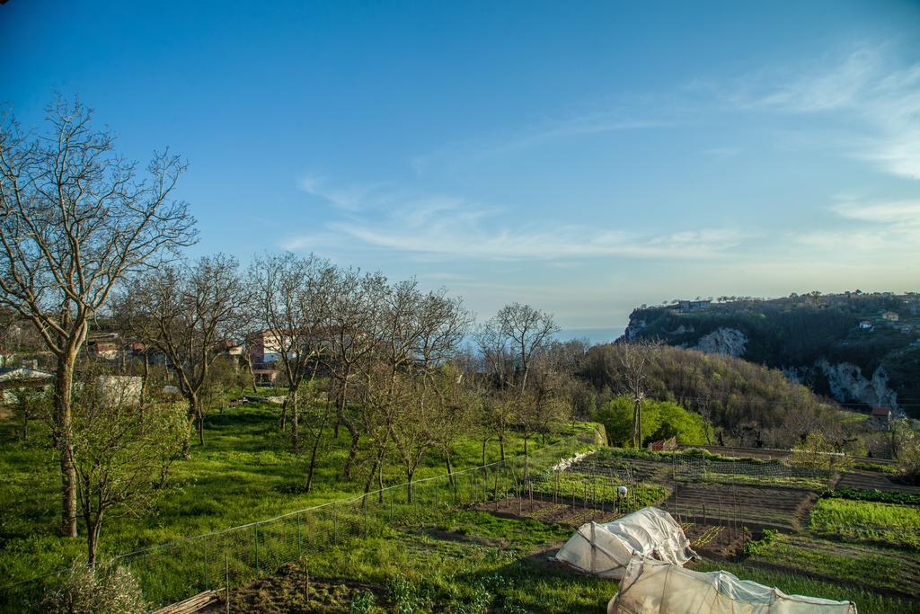 Da Zia Adele Hotel Agerola Room photo